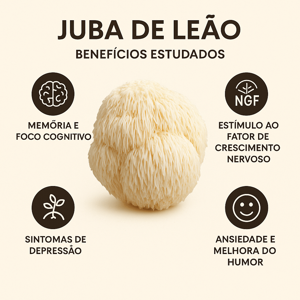 Juba de Leão: benefícios, ciência e como aproveitar ao máximo esse cogumelo&nbsp;funcional